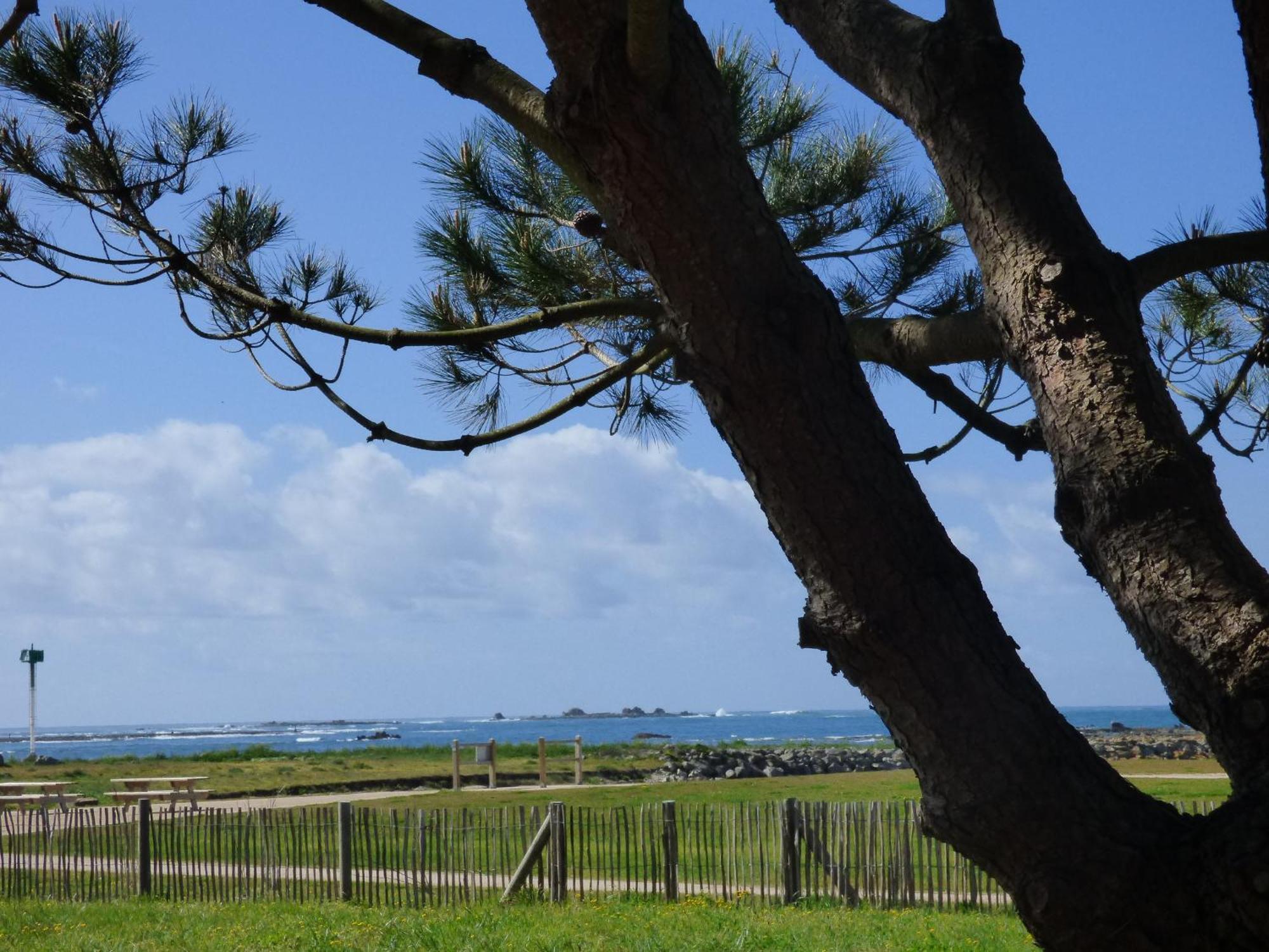 APPART-STUDIOS VUE MER PANORAMIQUE ST GUENOLE Côté Mer Penmarcʼh Quarto foto